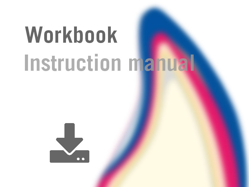 Download InSnyc MC Workbook